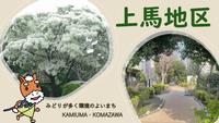 上馬サムネイル